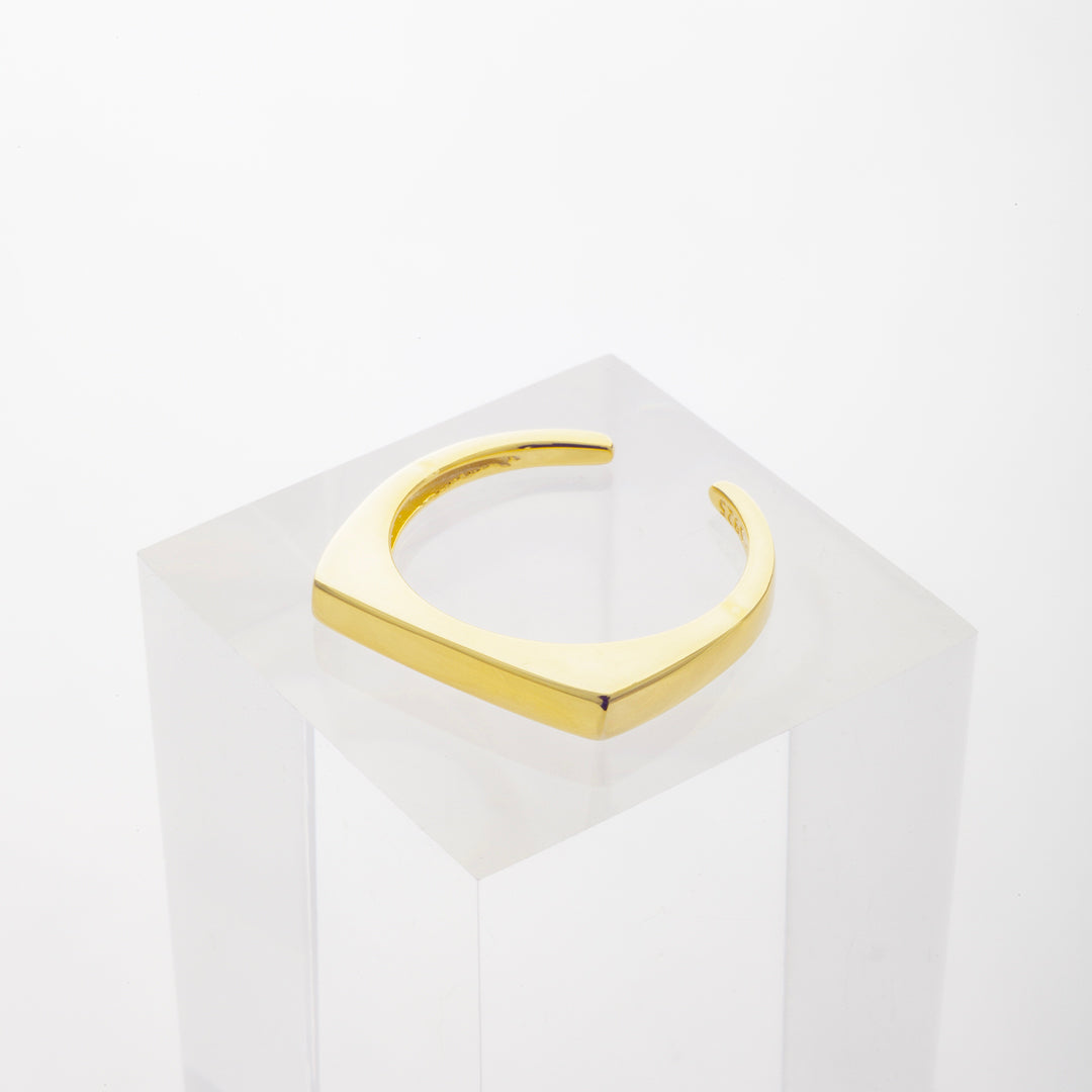 Signet Block Ring in Gold
