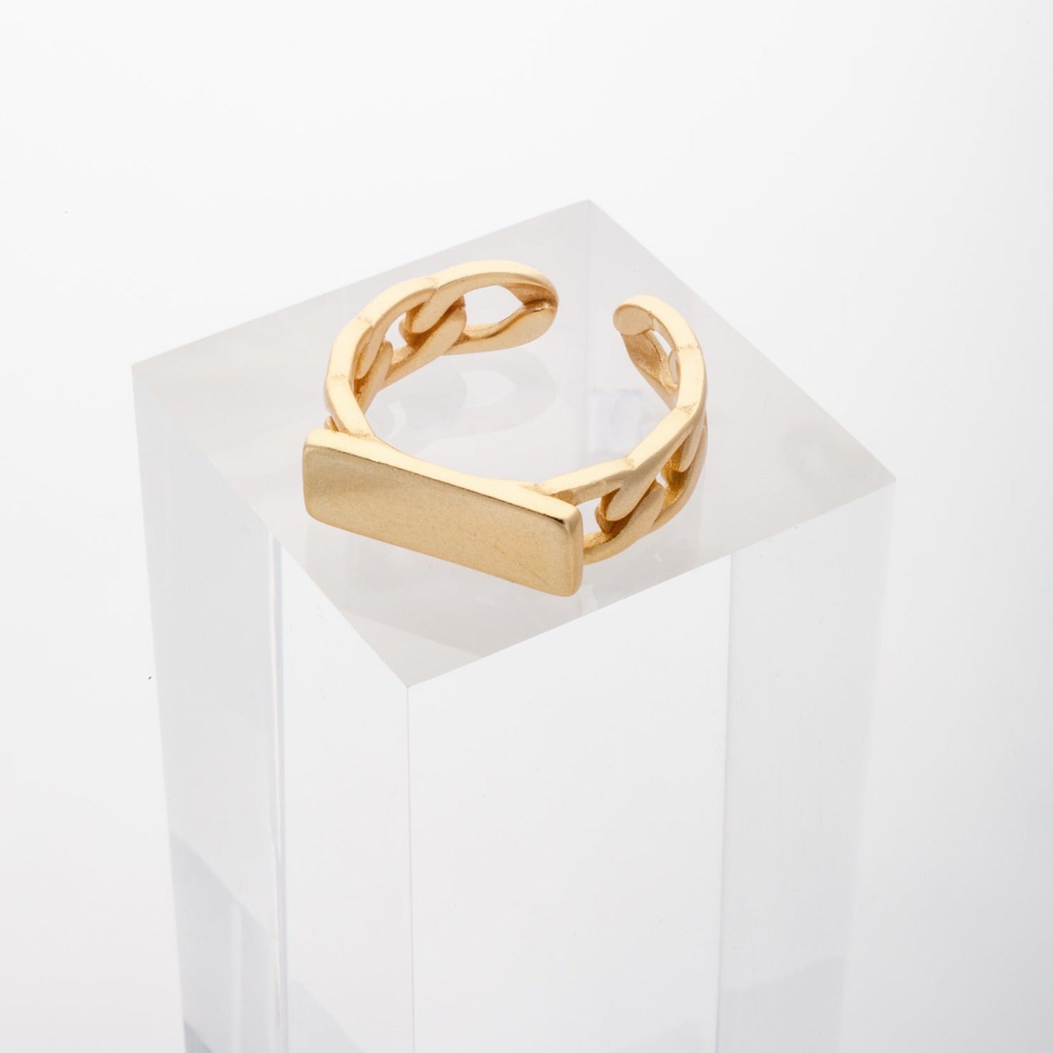 Chain Signet Ring in Matt Gold
