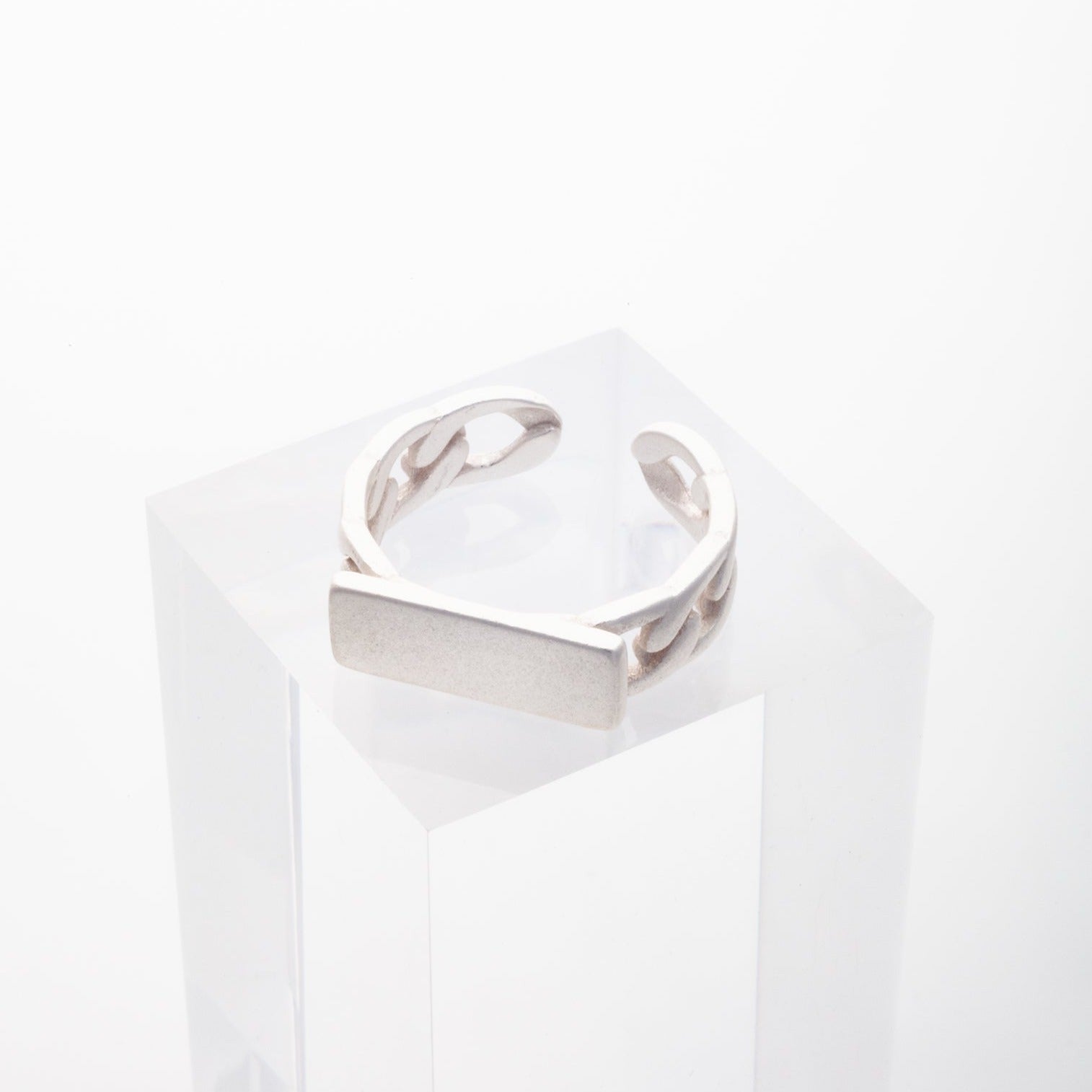 Chain Signet Ring in Matt Silver