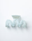 Manly Claw Clip in Mint